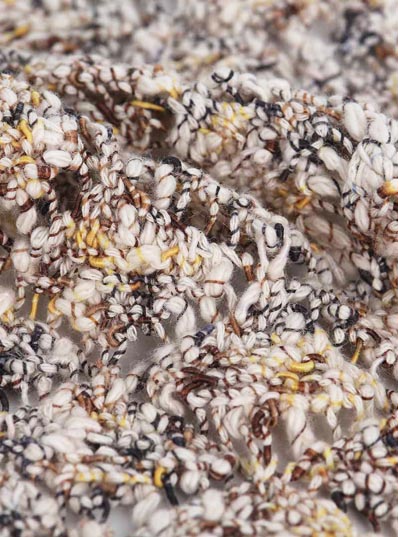 1 / 4.5 نانومتر 82 ٪ قطن 18 ٪ بوليستر