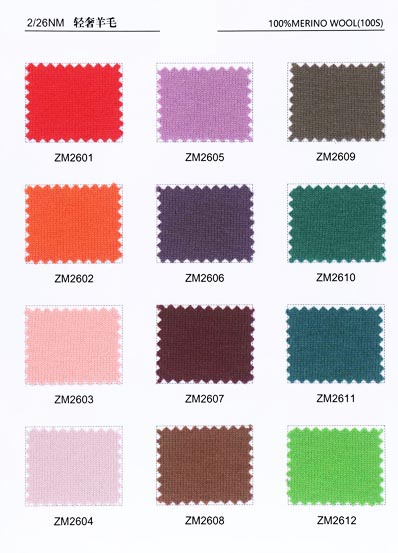 2 / 26NM 100% lana merino(100S)